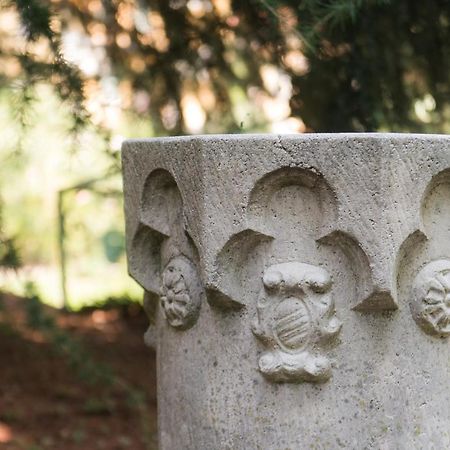 Villa Vittoria - The House Of Travelers Черноббіо Екстер'єр фото