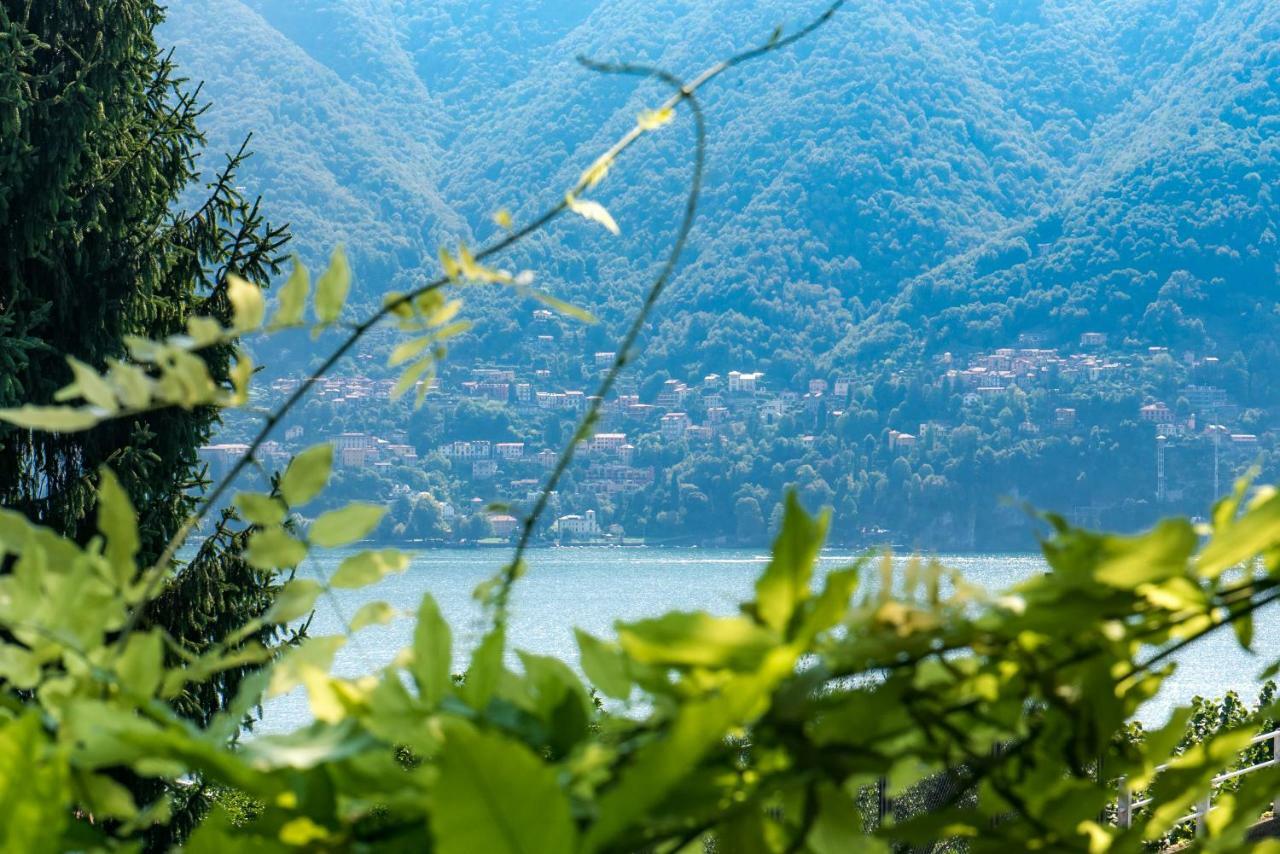 Villa Vittoria - The House Of Travelers Черноббіо Екстер'єр фото